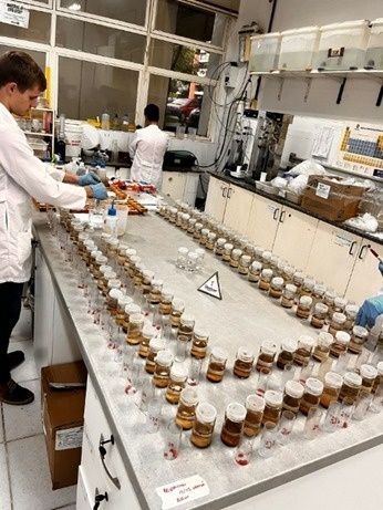 WhatsApp Image 2026-03-04 at 11.06.50 (1)